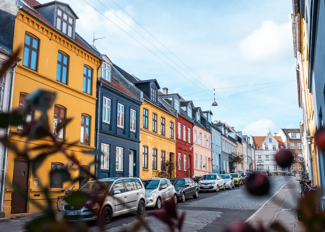 Emily-Vasholz-steffen-muldbjerg-su_latxuf04-unsplash